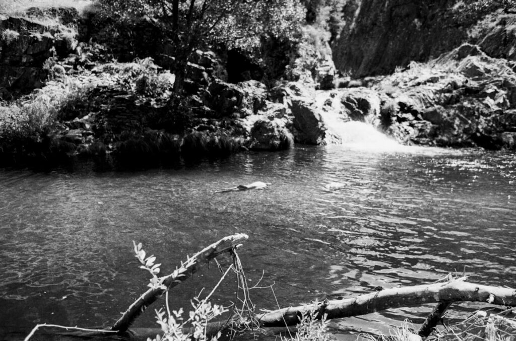 cepos-men-at-river